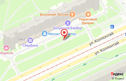 Ди-лайн на улице Коллонтай на карте