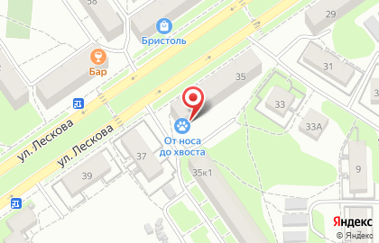 Ветеринарный госпиталь От носа до хвоста на улице Лескова на карте