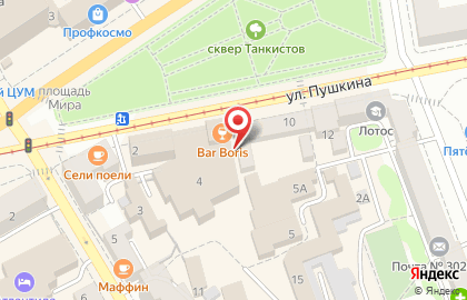 Компания Прочистка - Орёл на улице Пушкина на карте