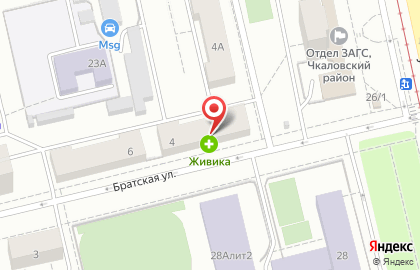 Сокол на Братской улице на карте
