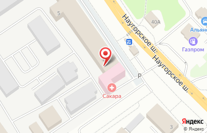 Pingvin на карте