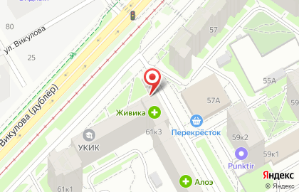Киоск по продаже фруктов и овощей на улице Викулова 61 на карте