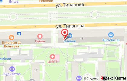 Ритуальное агентство Гвоздика на улице Типанова 18 на карте