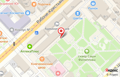 Польза на Рабоче-Крестьянской улице на карте