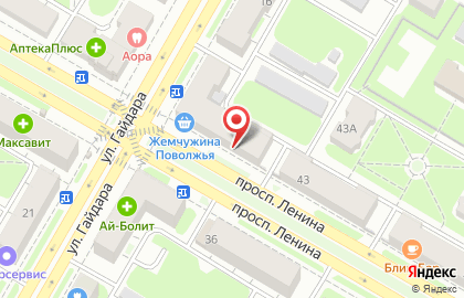 Магазин садового инвентаря Дачник на проспекте Ленина на карте