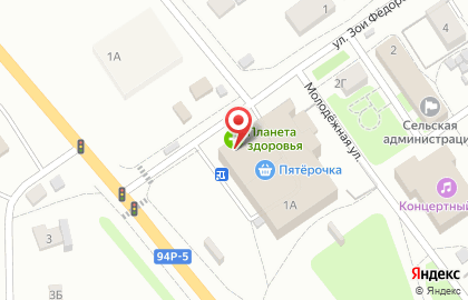 Супермаркет Пятёрочка на улице Зои Федоровой на карте