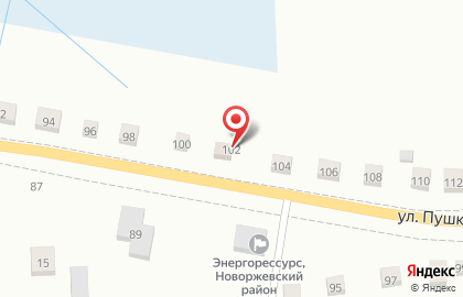 Продуктовый магазин на улице Пушкина на карте