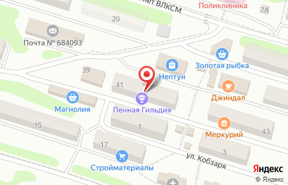 Ювелирный магазин Изумруд в Петропавловске-Камчатском на карте