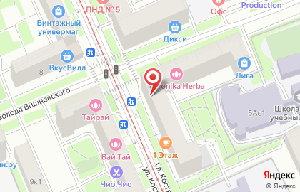 Зоомагазин Любимчик на улице Костякова на карте