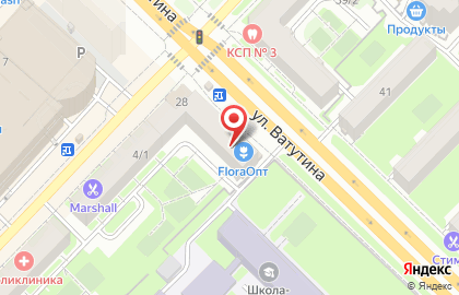 Сеть магазинов разливного пива Пивзавод на улице Ватутина на карте