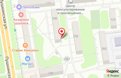 Рекламное агентство СДМ на Пушкинской улице на карте