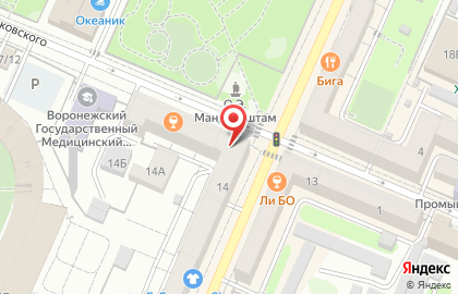 Центральная городская библиотека им. А.П. Платонова в Воронеже на карте