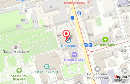 Барс на площади Толстого на карте