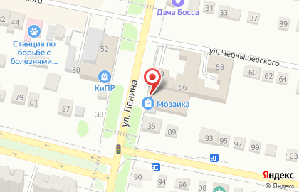 Магазин Мозаика на улице Ленина на карте