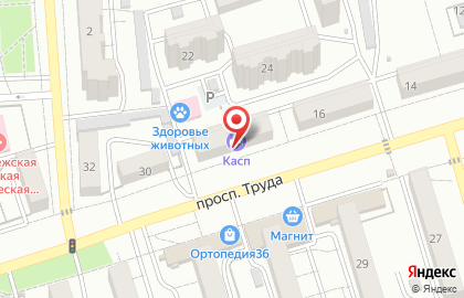 ДБСП на проспекте Труда на карте