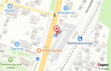 Киоск по продаже цветов в Центральном районе на карте