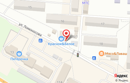 Магазин разливного пива BeerМания на улице Ломоносова на карте