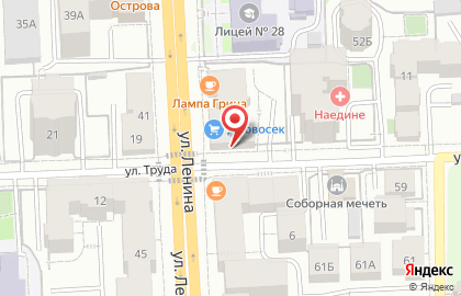 Торгово-сервисный центр Дровосек на улице Ленина на карте