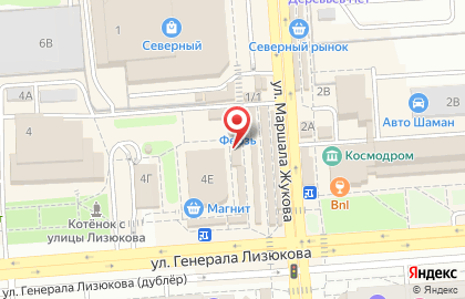 Магазин по продаже мяса на улице Генерала Лизюкова на карте