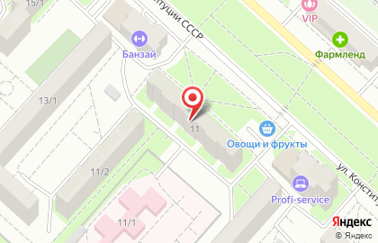 Юридическое агентство Правозащитник на улице Конституции СССР на карте
