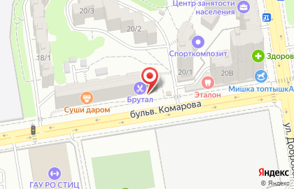 Медицинское страховое общество Панацея на бульваре Комарова на карте