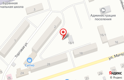 Продовольственный магазин на улице Мичурина на карте