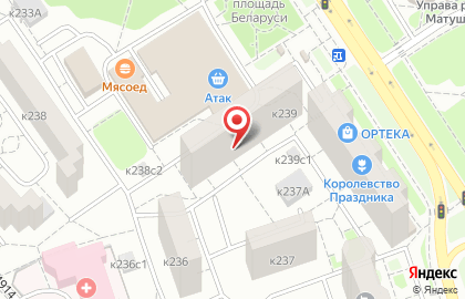Бэби-клуб Зеленоград на Центральном проспекте на карте
