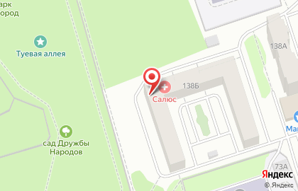 Медицинская инновационная компания Салюс на Воткинском шоссе на карте
