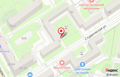 Центр социального обслуживания Московское долголетие на Студенческой улице на карте