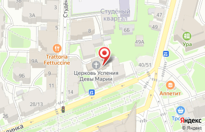 Римско-католический приход Успения Пресвятой Девы Марии в Нижегородском районе на карте
