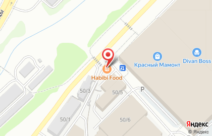 Кафе быстрого питания Дядя Дёнер на Светлановской улице на карте