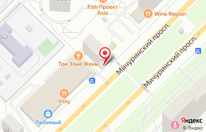 Киоск печатной продукции Краснопресненское агентство печати на Мичуринском проспекте на карте