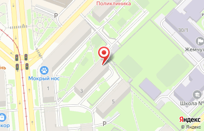 Центр психолого-педагогической поддержки молодежи Пеликан на площади Сибиряков-Гвардейцев на карте