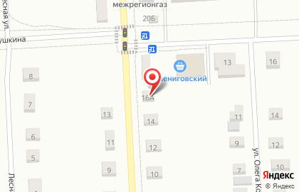 Лед и пламень в Йошкар-Оле на карте