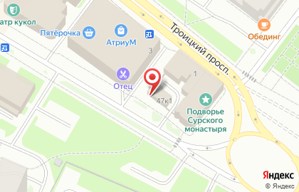 Бар Алкополис на набережной Северной Двины на карте