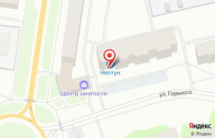 Зоомаркет Нептун на улице Горького на карте