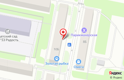 Зоомагазин Золотая рыбка, зоомагазин в Сыктывкаре на карте