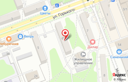 Ветеринарная клиника 9 жизней на улице Горького на карте