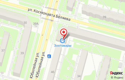 Зоомагазин 35 на улице Космонавта Беляева на карте
