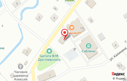 Магазин семян на Советском проспекте (Тосненский район), 1 на карте