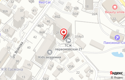 Студия шитья и живописи Disign Studio Веры Литтау на карте