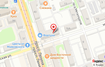 Hohoro на проспекте Ленина на карте