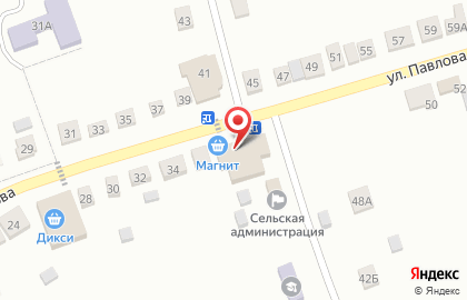 Русский лес на улице Павлова на карте