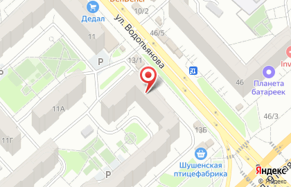 Магазин по продаже и аренде микронаушников Ушастый Джонни на улице Водопьянова на карте