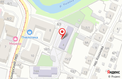 Монтессори в Пионерском переулке на карте
