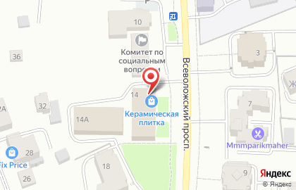 Наш дом на Всеволожском проспекте на карте