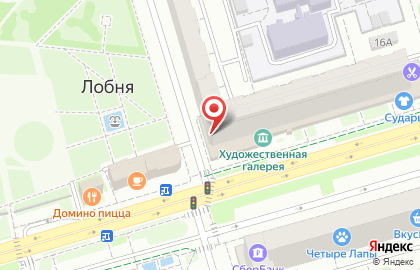 Торгово-сервисный центр Dns на улице Ленина в Лобне на карте