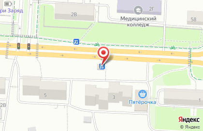 Мясная лавка на улице Шевченко на карте