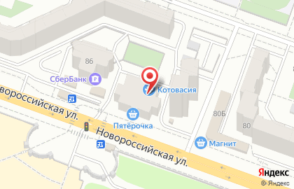 Магазин Зоомания на Новороссийской улице на карте