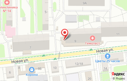 Аптека Диалог на Новой улице, 9 в Балашихе на карте